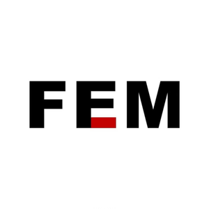 FEM